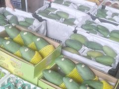 -海吉星市场