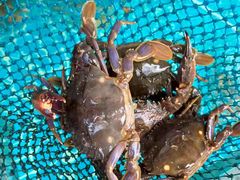 -庆山饭店·海鲜饺子家常菜(北戴河黑石路店)