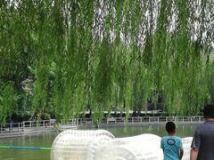 -莲湖公园