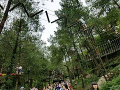 -梦幻奥陶纪景区