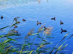 -野鸭湖国家湿地公园