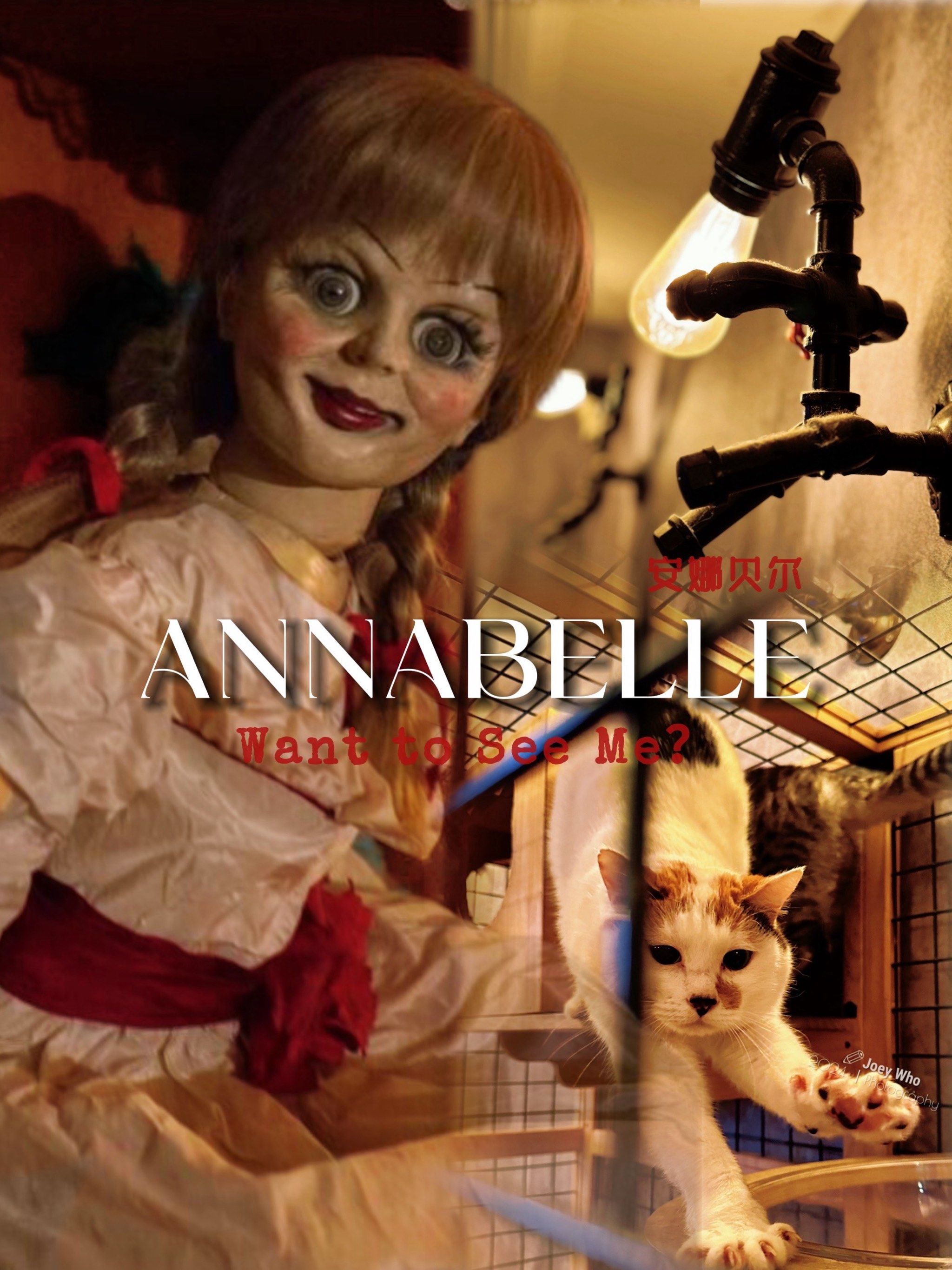 丨🧸执念造就惊悚🔛怪娃恐怖来袭