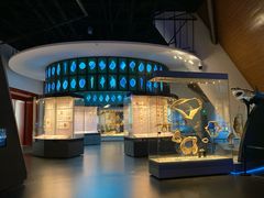 -贝林大翅鲸简餐厅(国家海洋博物馆店)