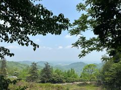 -凤栖山