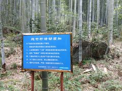 -山沟沟景区