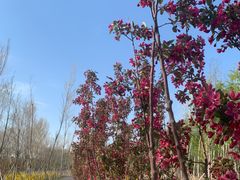-东郊湿地公园