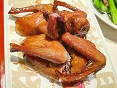 -大鸽饭(动物园店)