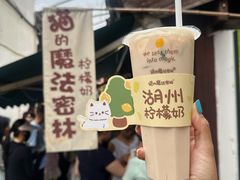 -猫的魔法密林(衣裳街店)