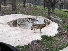 -西安秦岭野生动物园