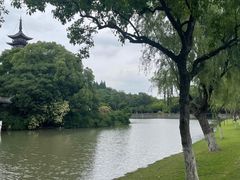 -上海方塔园