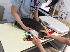 -立德24H动物医院·夜诊·转诊中心·1.5T核磁共振(海珠店)
