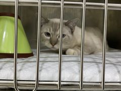 -佳雯宠物医院(金华南路分院)