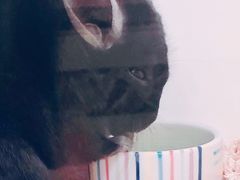 -龙猫仔乐园(惠福东路店)