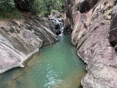 -广州白江湖森林公园