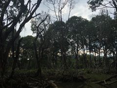 -乌鲁淡布隆国家公园