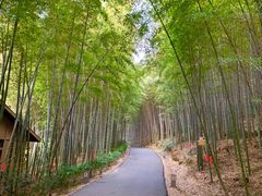 -苏州环秀晓筑养生度假村