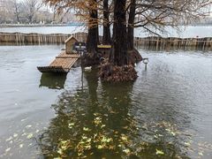 -莫愁湖公园