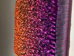 -宝龙艺术中心(七宝宝龙城店)