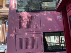 -BUS TOUR观光巴士