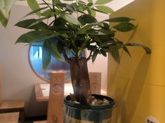 -滇铺子·云南特色菜·第九届野生菌美食节(东风东路c86店)