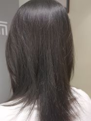 -爱维丽