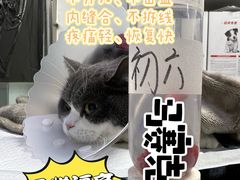 -达爱动物医院·犬猫分区·CT·复杂眼科(远洋山水分院)