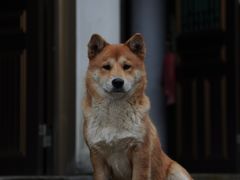 -瑞安圣井山景区