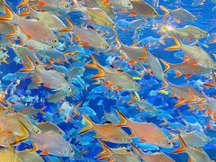 -成都浩海立方海洋公园