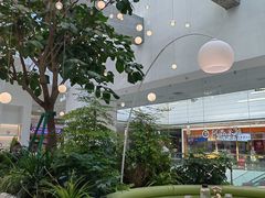 -大树餐厅(红旗街万达店)