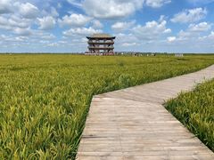 -红海滩国家风景廊道