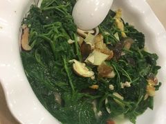 上汤桑葚芽-品胜点心专家(万业大厦店)