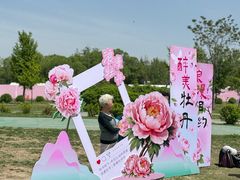 -太阳宫公园
