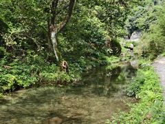 -夏霖九天银瀑风景区