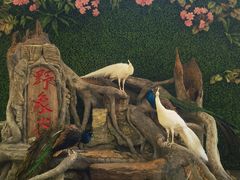 -野象谷景区