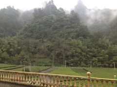 景点-咸丰县唐崖河景区