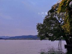 -杭州君悦酒店