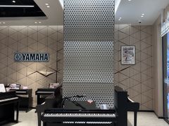 -知音艺术教育培训·钢琴培训·音乐培训(河西金鹰世界校区)