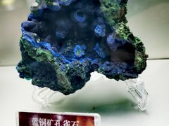 -甘肃地质博物馆