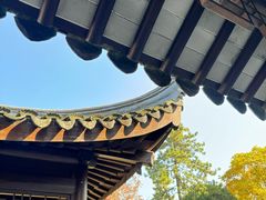 -秋霞圃
