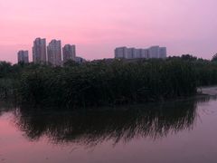 -前关湿地公园