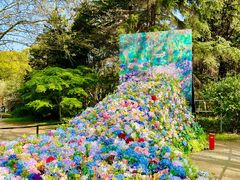 -上海共青森林公园