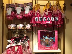 -巴黎迪士尼乐园