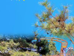 -朝阳公园游乐园