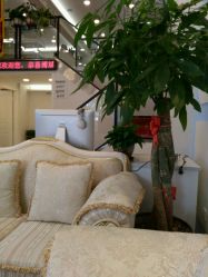 -蕾特恩祛痘•皮肤管理