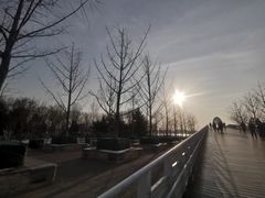 -大兴滨河森林公园