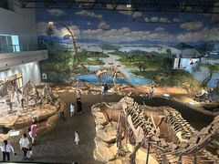 -自贡恐龙博物馆