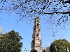 -上海佘山国家森林公园天马山园