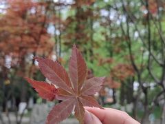 -温江公园