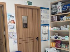 -博特宠物医院24h犬猫全科.骨科·异宠