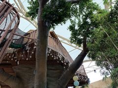 -杭州开元森泊度假乐园